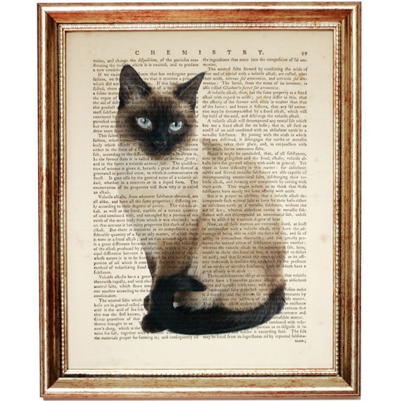 Siamese Cat Art Print White Cat Dictionary Art Print Thai Etsy