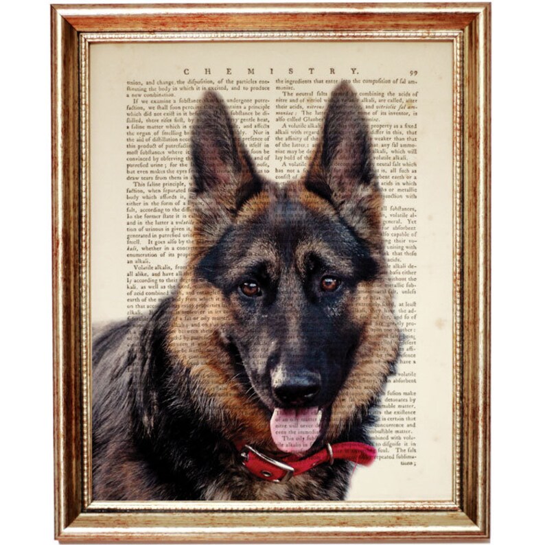 German Shepherd Art Wall Dog Print Artwork Dictionary Nursery Decor Book Page