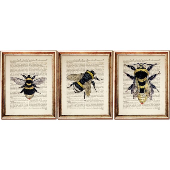Set Of 3 Prints Bee Art Bee Wall Art Bee Poster Bee Print Etsy