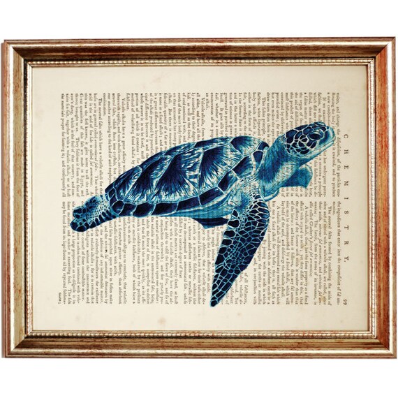 Sea Turtle Wall Art Turtle Print Art Turtle Gifts Etsy