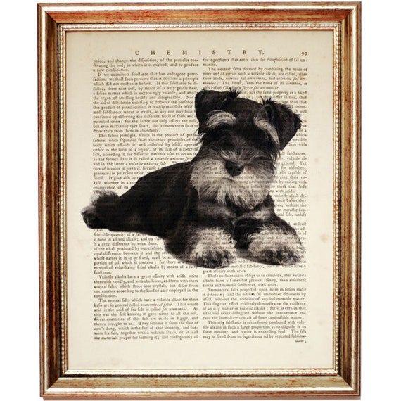 schnauzer wall art
