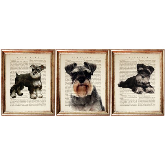 miniature schnauzer items