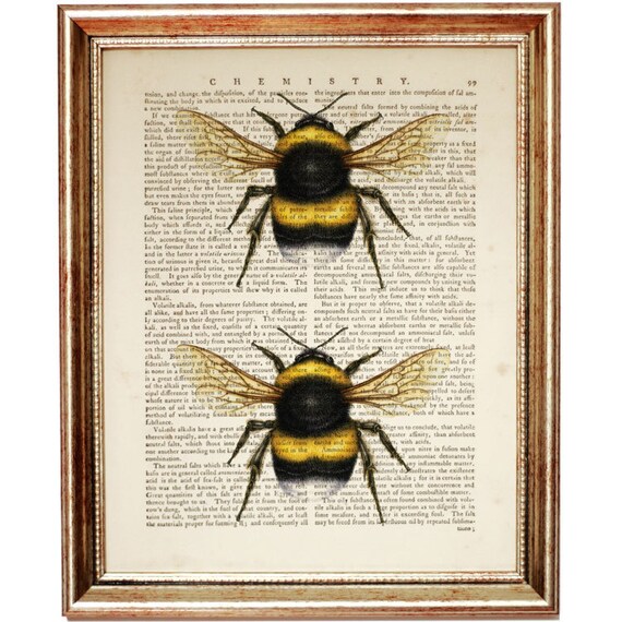Bumble Bee Decorations Bumble Bee Wall Art Bee Poster Etsy