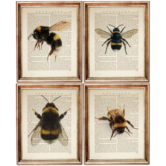 bumblebee nursery