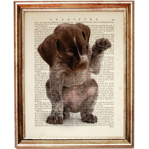 German Shorthaired Pointer Art Print Dog Nursery Wall Decor Etsy