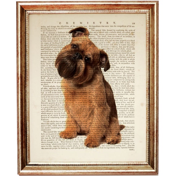 Brussels Griffon Print Dog Artwork Dog Wall Art Dictionary Etsy