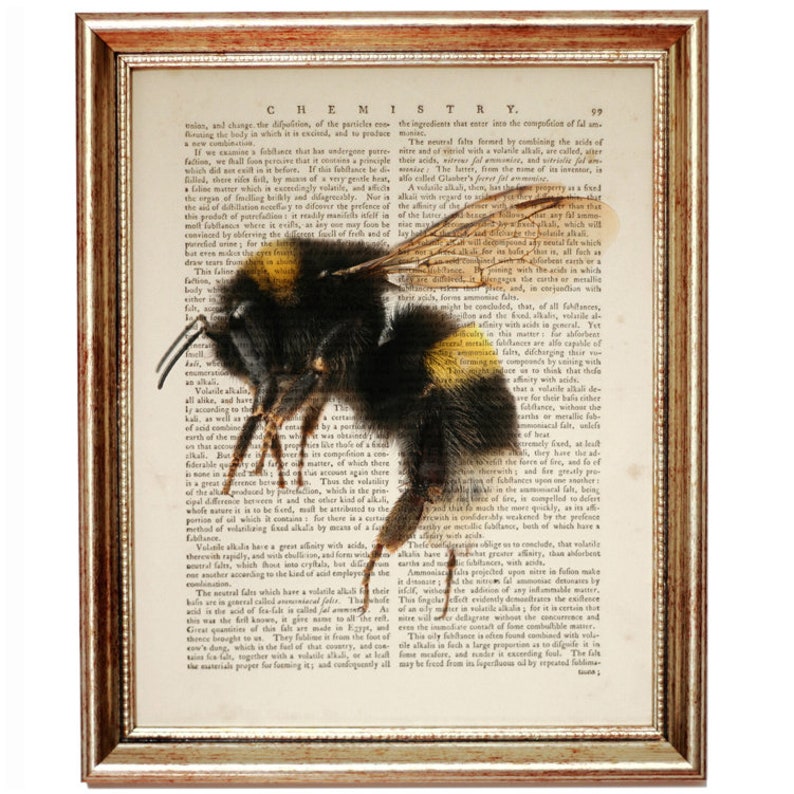Bumble Bee Poster Bee Gift Bumble Bee Decor Bumble Bee Wall Etsy