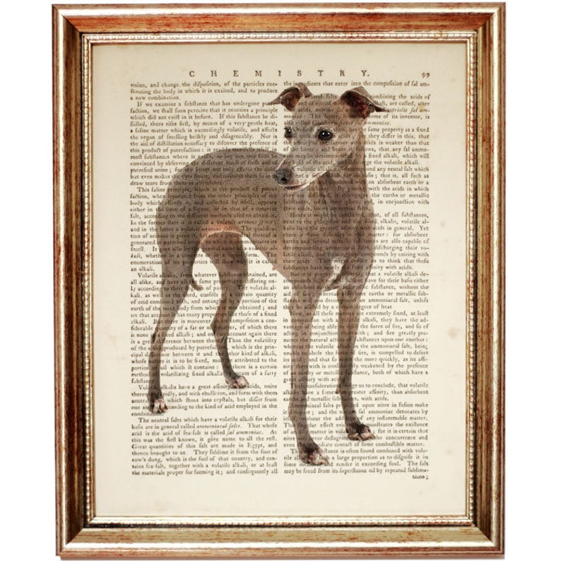 greyhound artwork