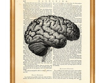 Anatomy Art, Anatomy Gift, Anatomy Print Human Brain Dictionary Art Print Medical Wall ArtAnatomy Poster Gift For