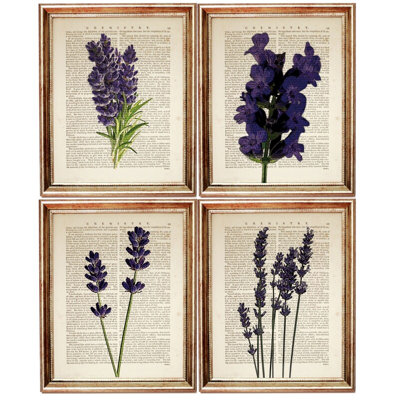Set of 4 Lavender Prints Lavender Wall Art Botanical Dorm Etsy