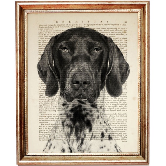 German Shorthaired Pointer Dictionary Art Print Dog Artwork Etsy