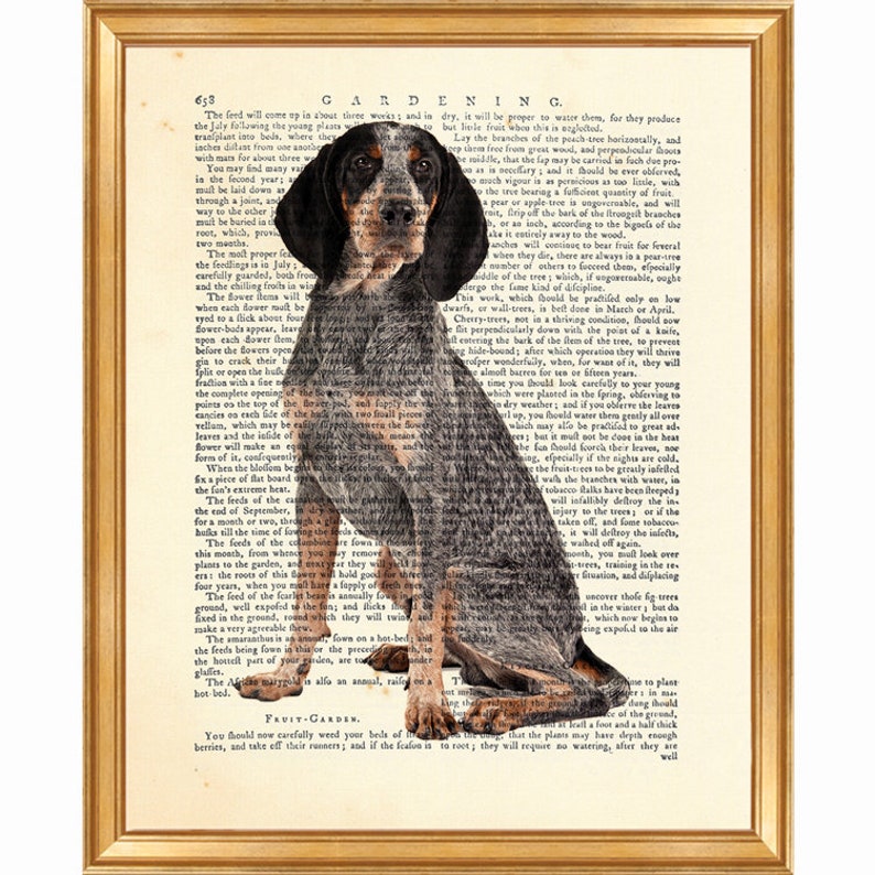 Bluetick Hound Dog Dictionary Art Print Image 0