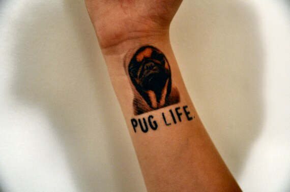 Téléchargement gratuit Images Tatouage Temporaire De Vie Carlin Thug Life Humoristique Spin Etsy actualisé salutations