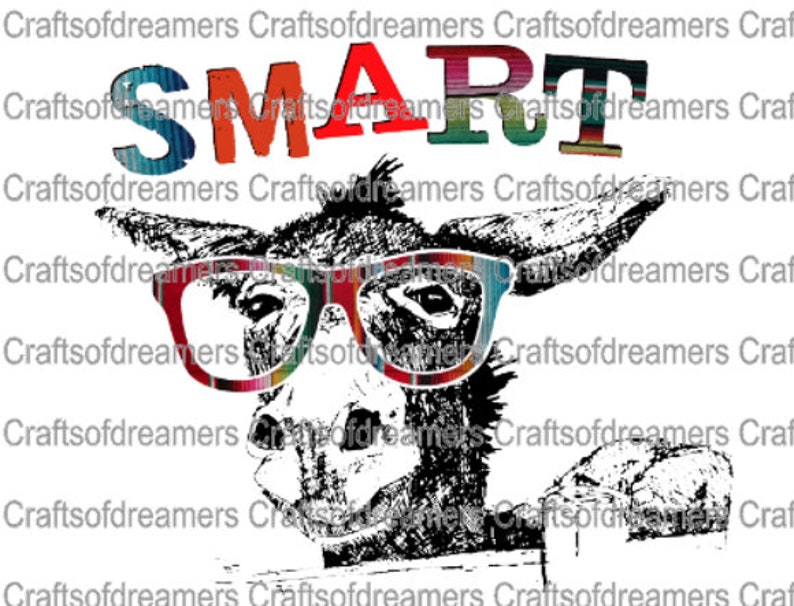 ready to press Craft supply smart ass colorful sublimation Transfer