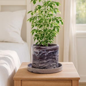May include: A potted plant with green and white leaves sits on a wooden nightstand. The plant is in a cylindrical pot with a marbled, dark purple and gray design. The pot rests on a matching gray saucer.