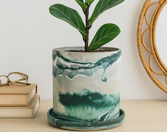 Coltivazione Di Piante Sempreverdi: Informazioni Sulle Erbe Perenni Per - Foto 6