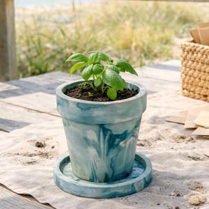 Puede incluir: Una pequeña planta verde en una maceta de cerámica veteada en color turquesa con un platillo a juego. Una cesta tejida con tierra y una paleta se encuentra cerca, junto con sobres de semillas. La escena está ambientada en una terraza de madera con vistas a una playa y al océano.