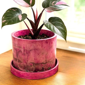 Okrągła, 6-calowa, jasnoróżowa doniczka cementowa Spoonbill z podstawką drenażową, średnia, do użytku wewnątrz i na zewnątrz