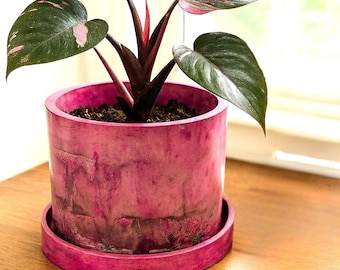 Ronde 6 inch felroze lepelbekcementbak met drainageschotel medium binnen buiten