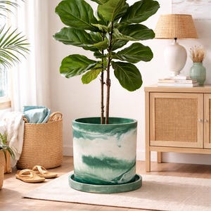 Op de afbeelding: Een grote Ficus lyrata in een pot met levendige groene bladeren. De plant staat in een cilindrische pot met een gemarmerd groen en wit ontwerp, op een bijpassende schotel. De kamer heeft een neutraal kleurenpalet.
