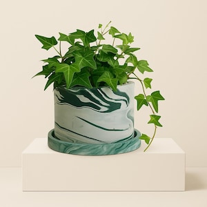 6 inch Emerald Tide Zement Pflanzgefäß mit Drainage und Tablett: Handgemacht + Versiegelt