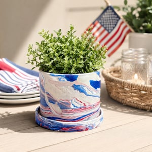 May include: A cylindrical concrete planter with a marbled pattern in red, white, and blue, featuring a matching circular saucer base. The planter contains a small, vibrant green leafy plant with numerous tiny, rounded leaves.