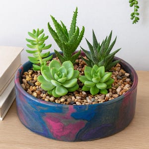 May include: A round, low-profile planter with a marbled blue, pink, and purple exterior. The planter is filled with small pebbles and several varieties of green succulents. The planter sits on a wooden surface.