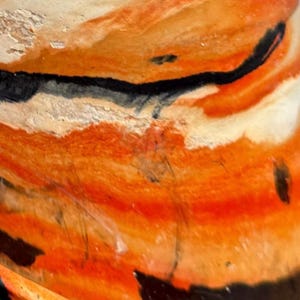 Fall Flames Planter Collection: Red, Orange, Black + White Cement