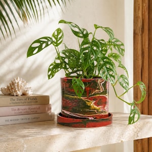 May include: A cylindrical ceramic plant pot with a marbled pattern in shades of red, black, and gold, featuring a matching saucer. A vibrant green Monstera adansonii plant with characteristic leaf perforations grows from the pot.