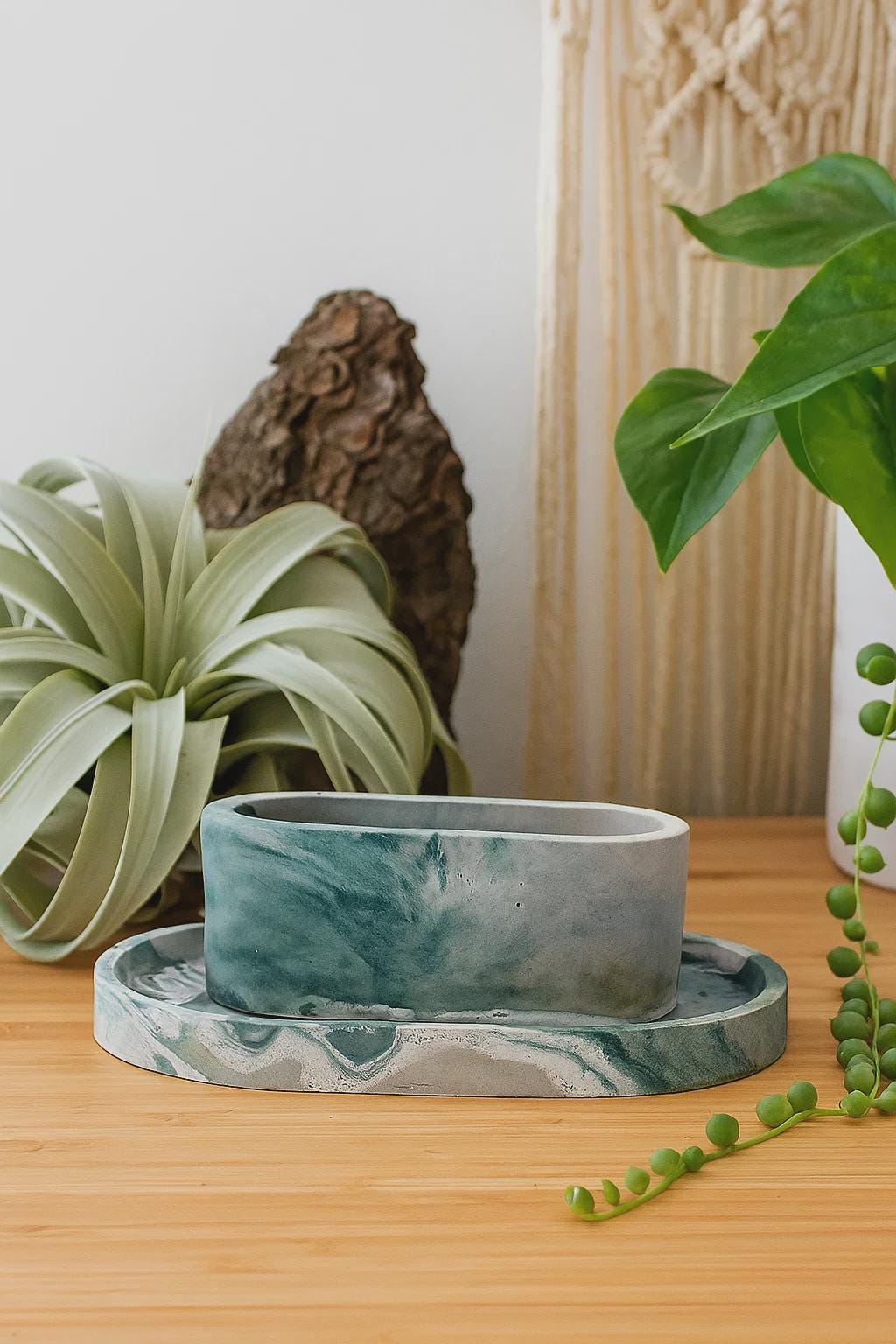 楕円形の植木鉢 - Etsy 日本