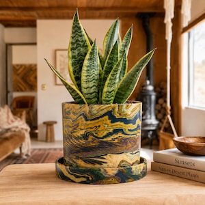 Canyon Sunset Jewel Tone 6 Inch Round Planter with Drainage and Saucer Cement Indoor Snake Plant Pot Perfect Desert Modern Living room Style