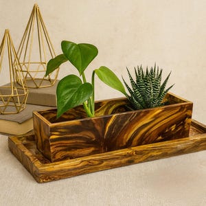 Long Cement Planter with Drainage and Tray: Windowsill herb or succulent garden