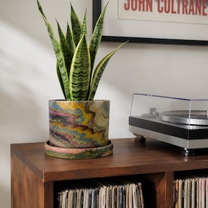 May include: A cylindrical plant pot with a matching saucer featuring a marbled pattern in shades of yellow, blue, pink, and dark green. The pot contains a tall snake plant with upright, pointed green leaves with yellow edges.