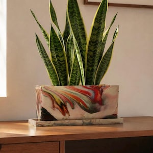 7 inch Yoshimi Windowsill Box Rectangular Planter Pot for Sansevieria Snake Plant Small Space Indoor Container Garden with Drainage and Tray
