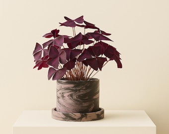 6 inch Midnight Bloom Cement Purple Black Planter Pot with Drainage and Drip Tray Moody Muted Unique Plant Display Indoor Garden Patio
