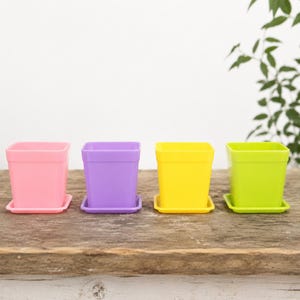 May include: Four square plastic plant pots with matching saucers in a row. The pots are colored light pink, purple, bright yellow, and lime green. Each container features a smooth finish, a wide rim, and a flat base, designed for holding small plants.
