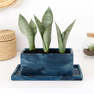 Può includere: Una fioriera rettangolare blu marmorizzata con un vassoio abbinato contiene tre piante di serpente. Le piante hanno lunghe foglie erette, verdi e grigie a strisce. La fioriera è su una superficie bianca.