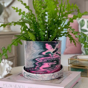 6 inch Palm Beach Pink Peacock Medium Planter with Drainage and Dish Indoor Plant Pot Cement Garden Planter Unique and Bright Marble Gloss