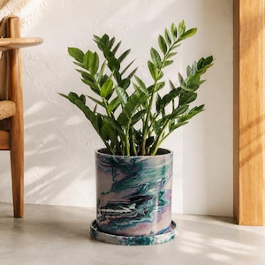 May include: A ZZ plant with glossy, dark green, pinnate leaves growing in a cylindrical planter. The planter features a marbled pattern with swirling colors of deep purple, teal, emerald green, and white, and includes a matching circular saucer.