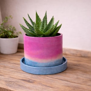 Maceta de 6 pulgadas, color rosa y azul, con drenaje y platillo, ideal para jardinería de interior.