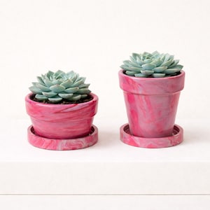 Small Gift Planter Succulent Pot with Drainage and Dish Pink Marbled Cement Gloss Glaze