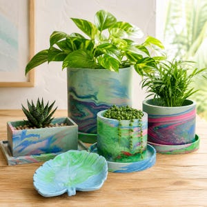 May include: A collection of cylindrical and rectangular planters and a leaf-shaped tray, all featuring a marbled finish in vibrant shades of green, blue, pink, and purple. Each planter includes a matching saucer and contains a green houseplant.