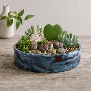 Cuenco de 9 pulgadas para jardín de sedum, suculentas y cactus, maceta poco profunda para microvegetales o centro de mesa de musgo, plato de drenaje con textura y color personalizables.