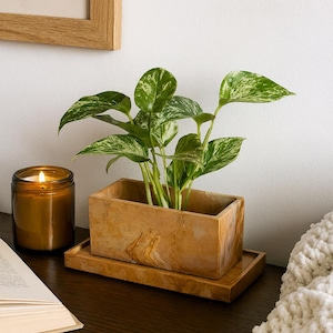 以下が含まれることがあります： 白斑入りの葉を持つ緑色の植物が入った、長方形の薄茶色のプランターボックスと、それに合うトレイ。茶色のガラス瓶に入ったろうそくの火と開いた本が、濃い木製の表面に置かれています。