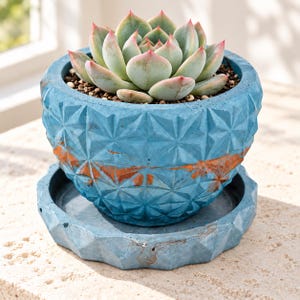 Può includere: Una pianta succulenta con foglie verde pallido e punte rosa, piantata in un vaso rotondo blu con motivo geometrico e sottovaso abbinato. Il vaso presenta una superficie strutturata e sfaccettata con tocchi di colore arancione ruggine.