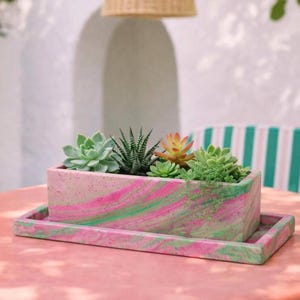 12 inch Large Rectangle Planter Box with Drainage and Tray Indoor Windowsill Planter for Succulents or Herbs Custom Colors Available