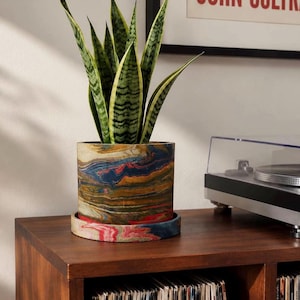 May include: A snake plant with long, pointed, variegated green leaves sits in a cylindrical planter. The planter features a marbled pattern of blue, red, yellow, and brown swirls, and it rests on a matching circular saucer base.