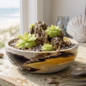 May include: A decorative bowl with a marbled design in shades of brown, yellow, and white, containing small green plants and a rock formation. The bowl sits on a weathered wooden surface, with a beach scene visible in the background.