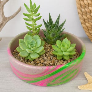 9 inch Cactus Bowl, Customizable Accent Planter, Garden Centerpiece with Drainage & Saucer, Dopamine Pot, Shallow for Lithop Stonecrop Sedum