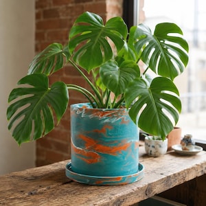 May include: A lush green Monstera plant in a teal and orange marbled cylindrical pot with a matching saucer. The plant is displayed on a rustic wooden surface near a window, highlighting the plant's large, split leaves.